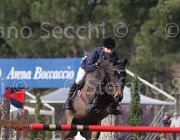 Whitaker W Fandango TosTour 2013- S5 7612 : Arezzo Equestrian Centre, Fandango, Toscana Tour 2013, Whitacker William, foto di Stefano Secchi ©